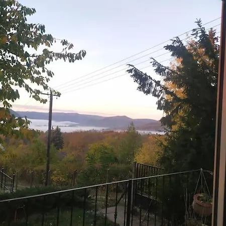 Kosbor Kucko